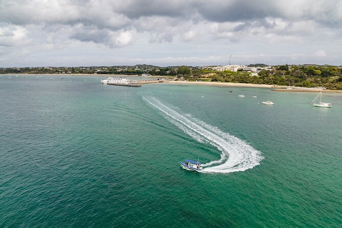 Seal and Dolphin Watching Eco Boat Cruise Mornington Peninsula - Departure and Meeting Points