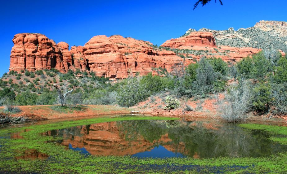 Sedona 2-Hour Jeep Tour of Red Rock West - Important Information