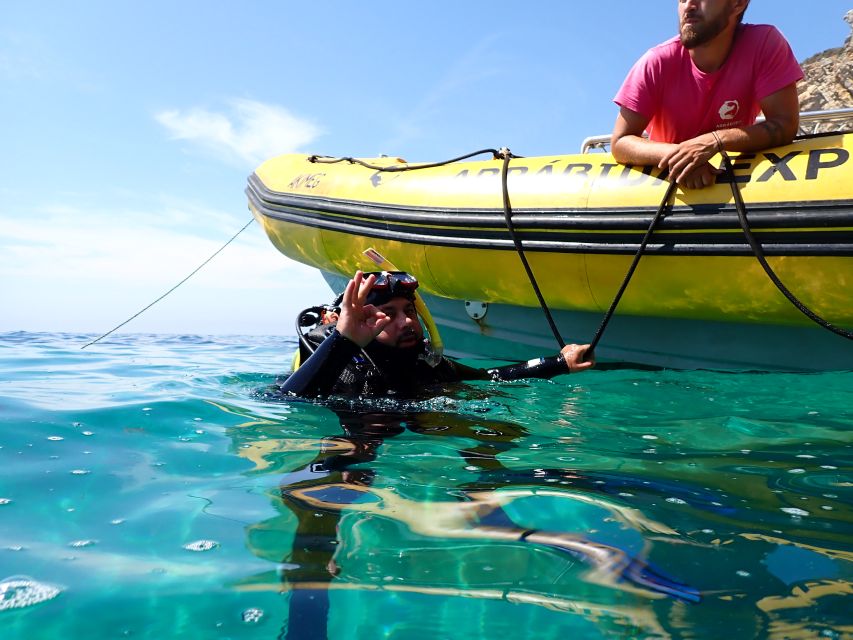 Sesimbra: Arrábida Marine Reserve Scuba Diving Experience - Customer Reviews