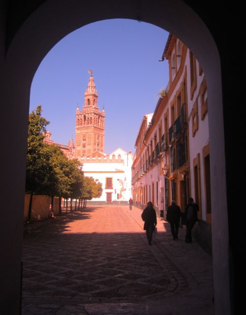 Seville Full-Day Sightseeing Tour From Granada - Tour Experience