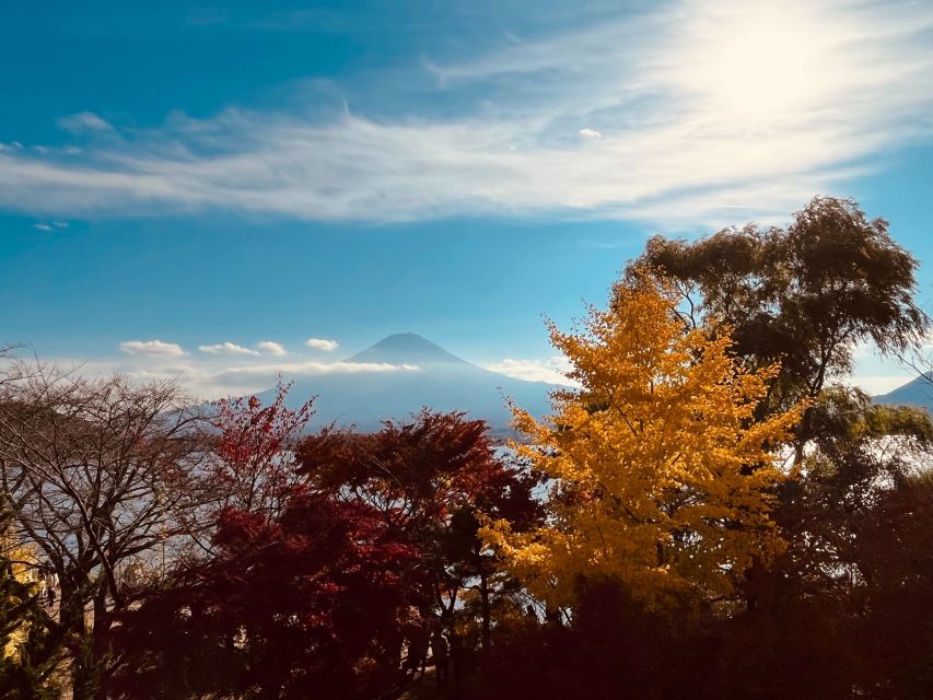 Shinjuku: Mount Fuji Panoramic View and Shopping Day Tour - Full Description