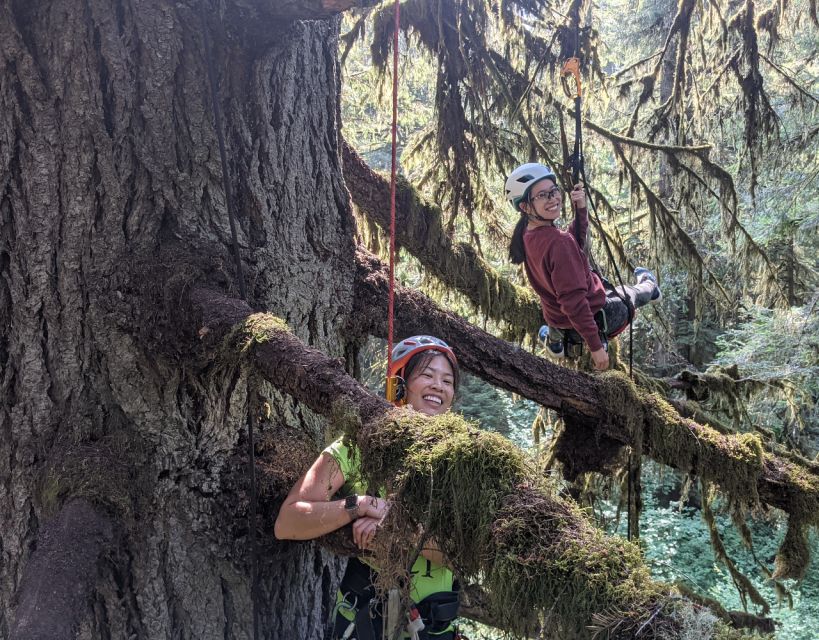 Silver Falls State Park: Tree Climbing Sunset Tour - Directions