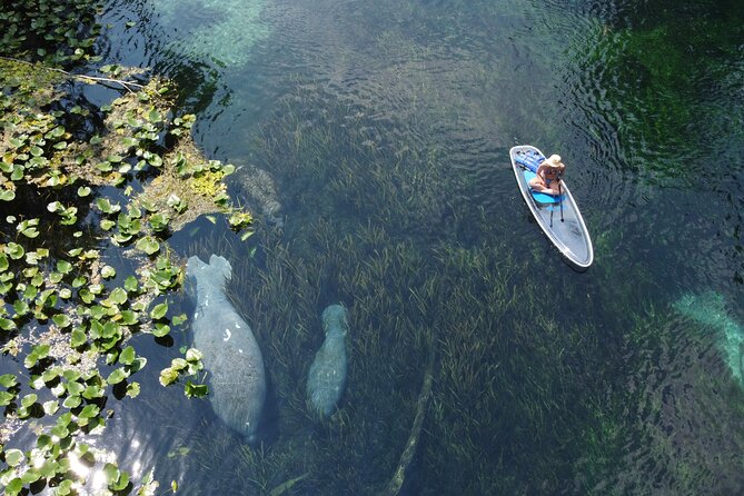 Silver Springs: Clear Kayak Wildlife Adventure - Preparing for the Adventure