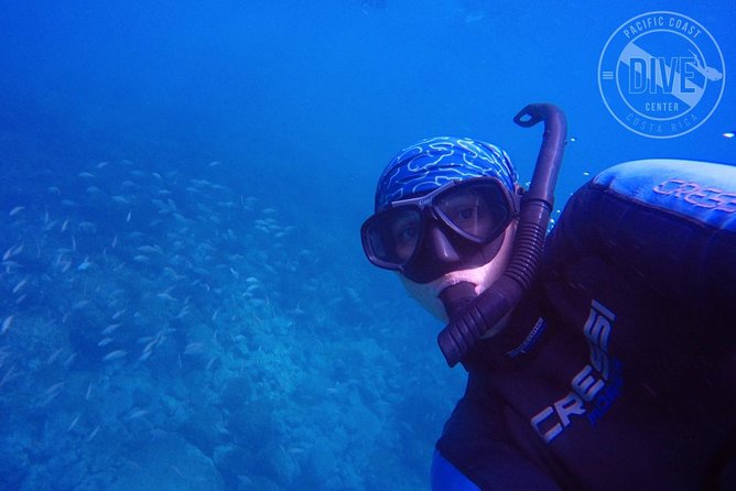 Snorkeling at Catalina Islands & North Island - CR - Souvenir Photos for Lasting Memories