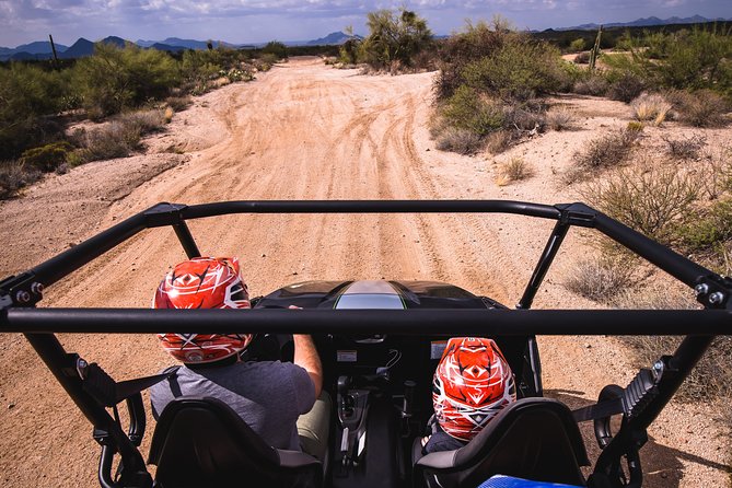 Sonoran Desert Guided UTV Adventure - Traveler Experience and Reviews