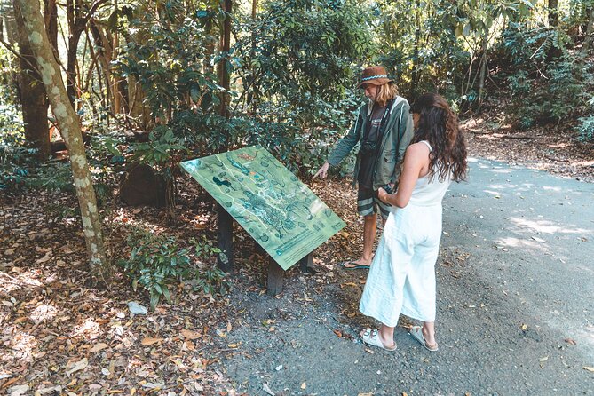 Springbrook Andtamborine Rainforest Tour Incl Natural Bridge and Glow Worm Cave - Tamborine National Park Adventure