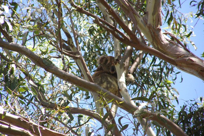 Stradbroke Island 4WD Day Trip From Brisbane - Exploring Stradbroke Island