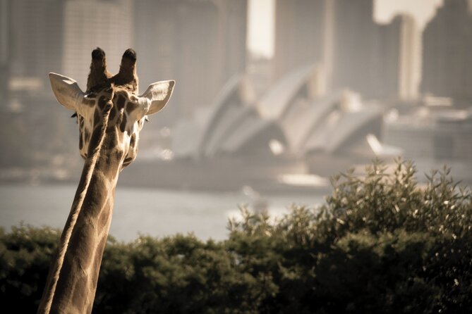 Sydney Harbour 2-Day Hop on Hop off Cruise With Taronga Zoo Entry - Meeting and Departure Points