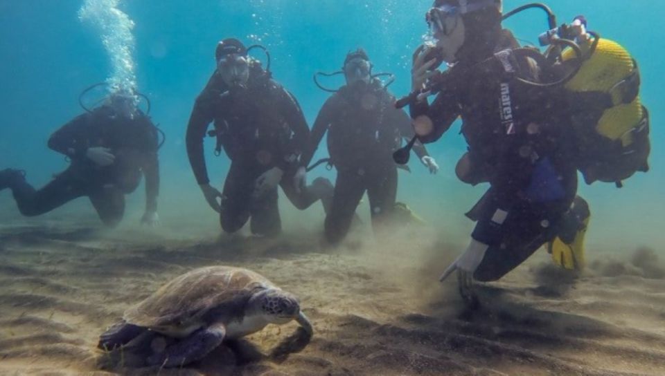 Tenerife: SSI Advanced Adventurer Diving Course - Instructor Details