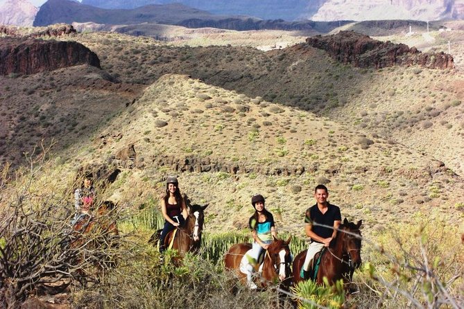 The Best Horse Riding Experience in Gran Canaria (2 Hours) - Cancellation Policy
