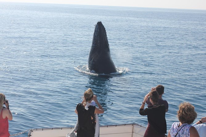 Three-Quarter Day Hervey Bay Premium Whale Watching Cruise - Delicious Food and Drinks