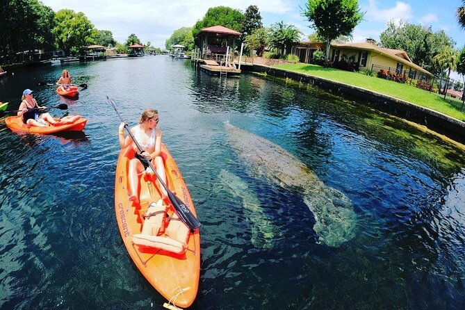 Three Sisters Springs Kayak And Swim Eco-Tour Crystal River - Final Words