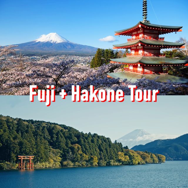 Tokyo to Mount Fuji and Hakone Private Full-day Tour - Detailed Itinerary and Activities