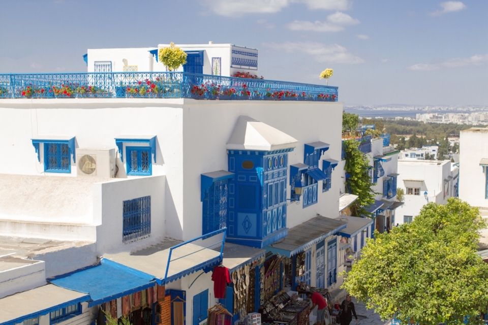 Tunis: Carthage, Sidi Bou Said and Medina Private Day Trip - Language Options