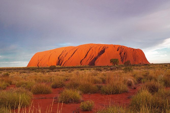 Uluru (Ayers Rock) Sunset Tour - What to Expect on Tour