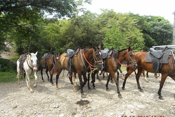 Vandara Adventure: Horseback Riding, Ziplining, Hot Springs  - Tamarindo - Cancellation Policy and Reviews