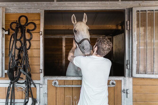 Vienna Horse-drawn Carriage Guided Tour - Meeting and Pickup Information