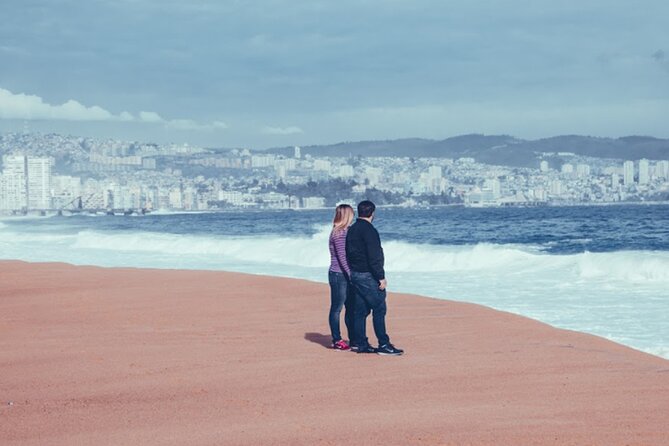 Viña Del Mar and Valparaiso - Traveler Resources