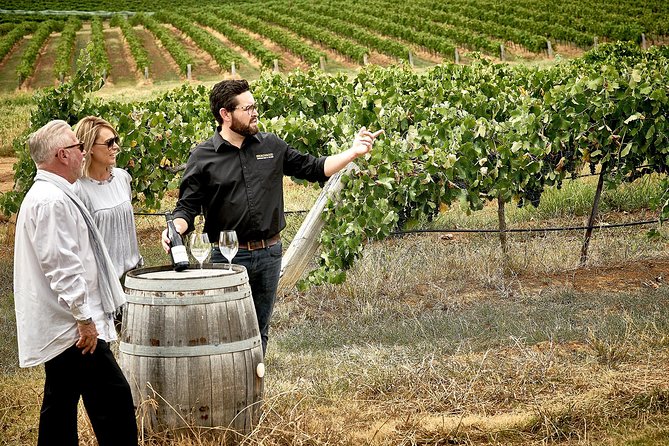 VIP Soil-To-Cellar Experience - Private Vineyard and Winery Tour