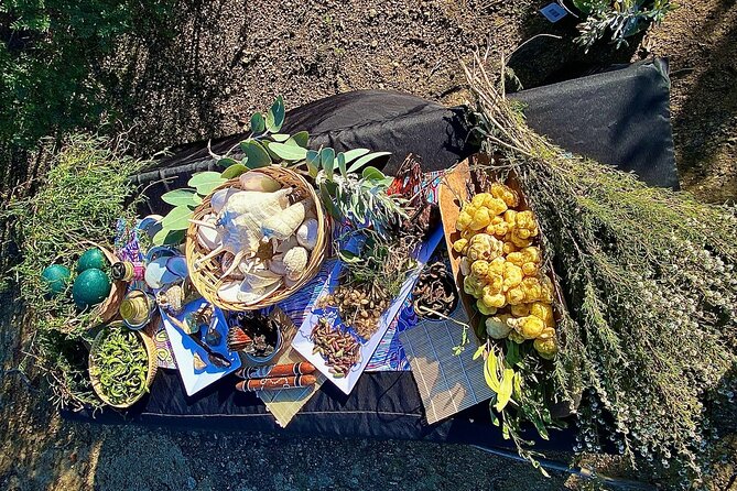 Walk on Country at Taananeditj (Rotary Lookout)[INPUT TEXT TRANSLATED INTO English]: Walk on Country at Taananeditj (Rotary Lookout) - Bush Tucker and Traditional Foods