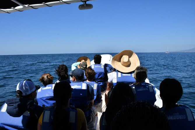 Whale Watching Guaranteed Experience in Puerto Vallarta - Reviews and Ratings