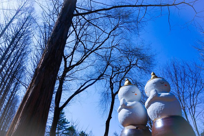 Winter Fun at Vivaldi Ski Resort With Romantic Winter Scenery at Nami Island - Meeting Points and Schedule