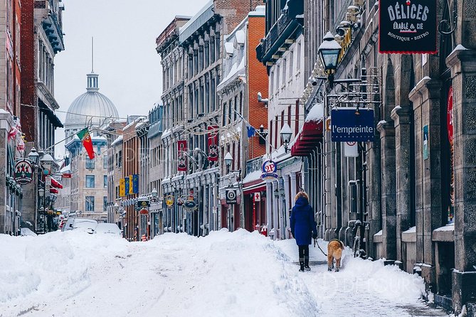 Winter Walking Tour of Old Montreal by MTL Detours - What To Expect