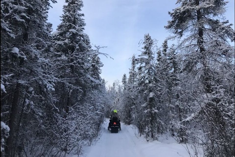 Yellowknife: Backcountry Snowmobile Tour With Winter Gear - Tour Description