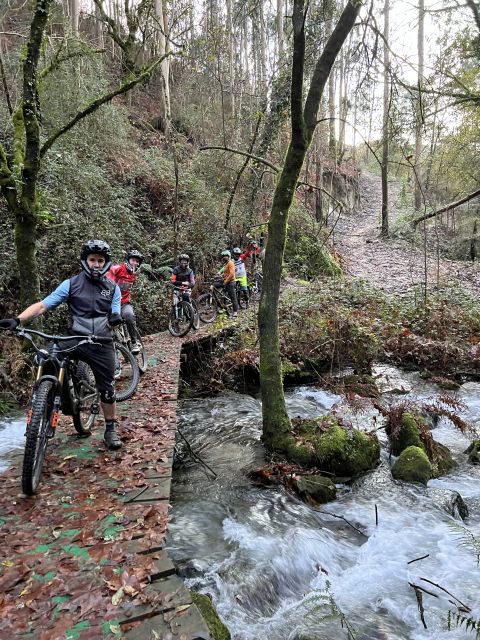 4 Hour Private MTB Enduro Trail Tour in Sintra Mountain - Key Points