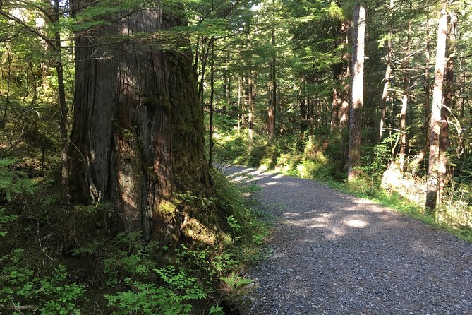 2 Hour Alaska Rainforest Walk and Totem Park Small Group Tour - Tour Guides