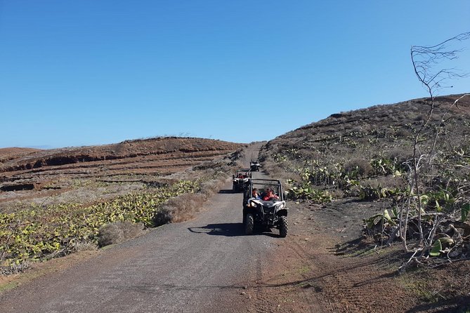 2-Hour Buggy Tour From Costa Teguise - Customer Reviews