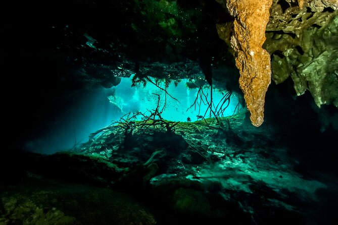 3 Cenote Dives - Casa & Dos Ojos - Final Words