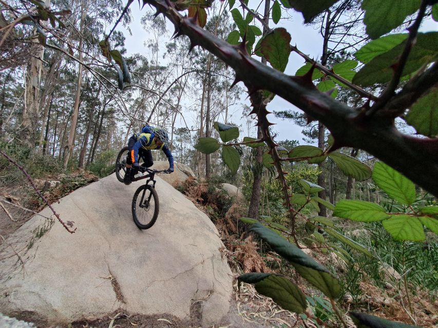 4 Hour Private MTB Enduro Trail Tour in Sintra Mountain - Booking Information