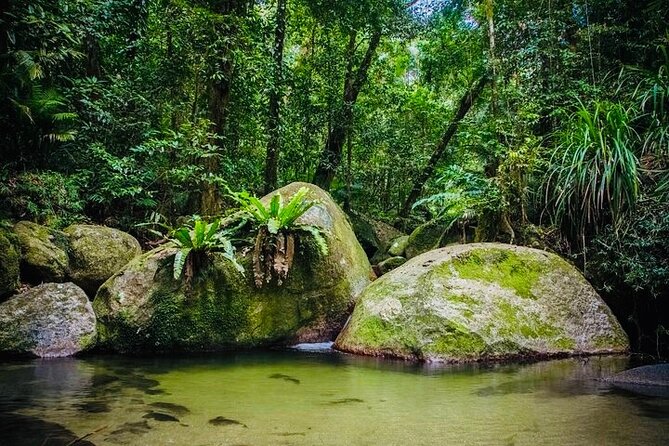 Affordable Return Mossman Gorge From Port Douglas Transfers - Booking and Cancellation Policy