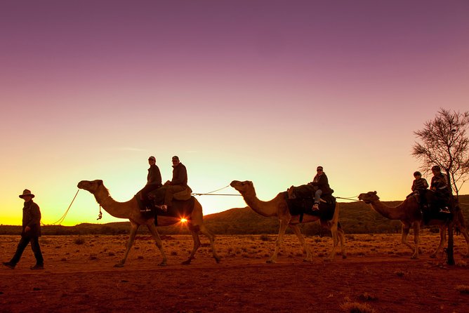 Alice Springs Camel Tour - Important Health and Safety Notes