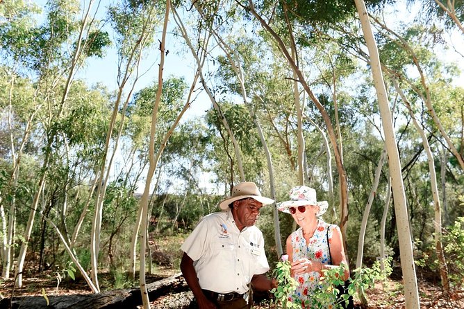 Alice Springs Desert Park General Entry Ticket - Operating Hours and Prices