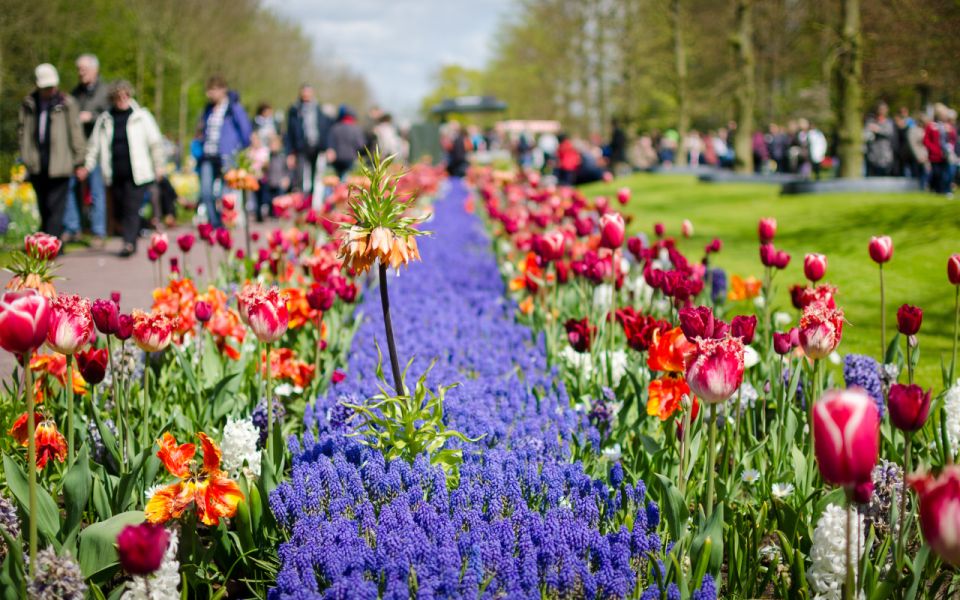 Amsterdam: Tour to Keukenhof Gardens With Windmill Cruise - Reserve Now & Pay Later Option