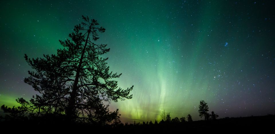 Aurora Borealis Quest: Private Yukon Nighttime Tour - Booking Availability and Reservation