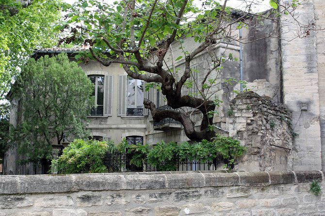 Avignons History, Local Culture & the Wines of Châteauneuf Du Pape Private Tour - Customization Options