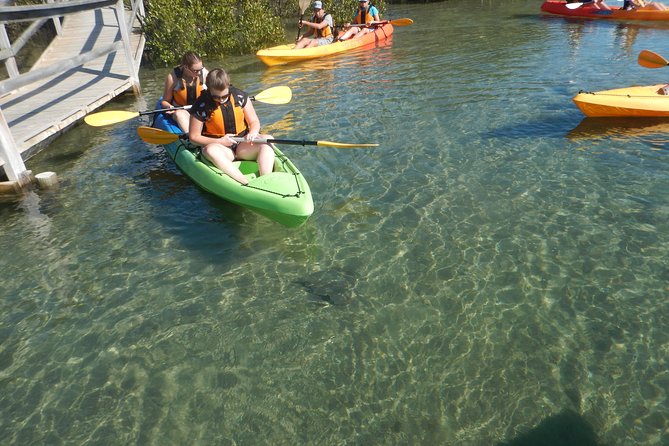 Batemans Bay Glass-Bottom Kayak Tour Over 2 Relaxing Hours - Essential Tour Details