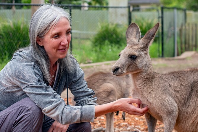 Blue Mountains Big Day Out - Private Tour - Your Private Tour Experience