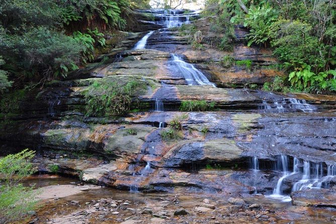Blue Mountains Private Sightseeing Tours - What to Expect on Tour
