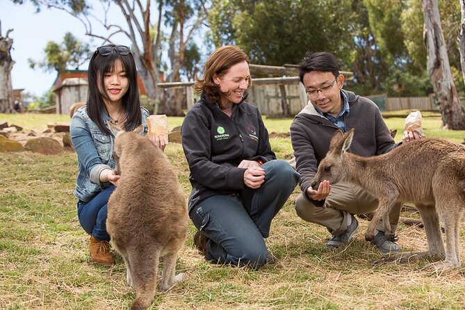 Bonorong Wildlife Park and Richmond Afternoon Tour From Hobart - Guide to Meeting and Pickup Points