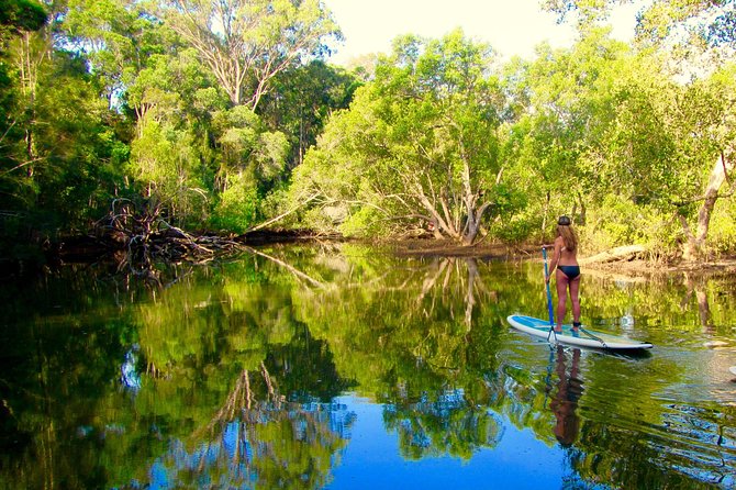 Byron Stand Up Paddle Nature Tour - Reviews From Satisfied Customers