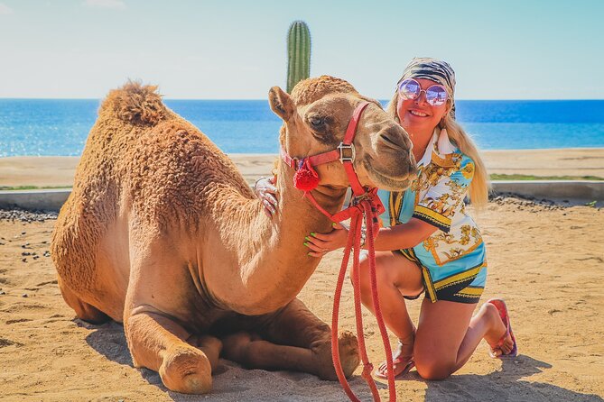 Camel Ride and UTV Combo Adventure, With Tequila Tasting - Customer Feedback and Host Responses