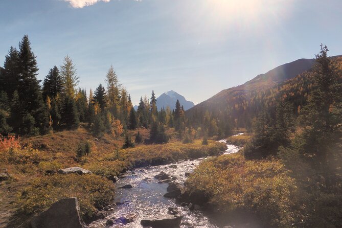 Canadian Rockies Hiking Adventure in Kananaskis Provincial Park - Reviews and Pricing