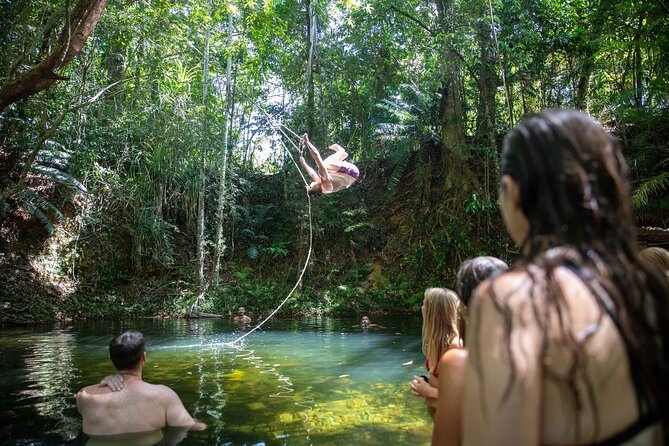 Cape Tribulation Day Tour From Cairns - Meeting and Pickup Information