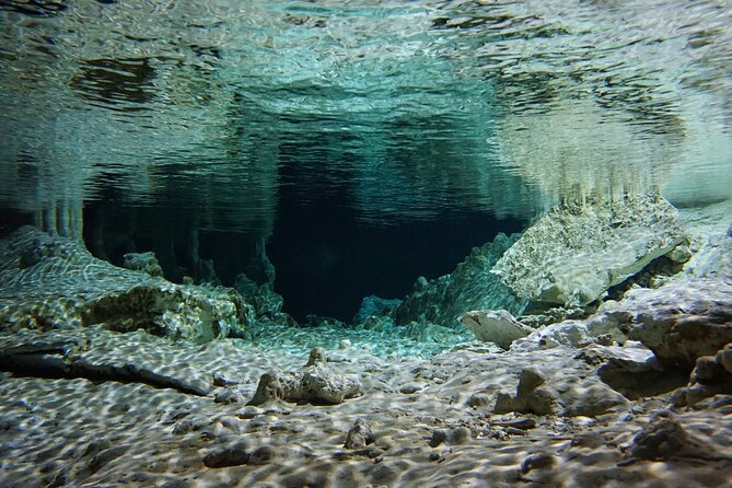 Cenotes Private Tour VIP - Customer Reviews