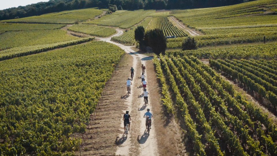 Champagne Region : Ebike Tour With a Local Guide ! - Booking Details