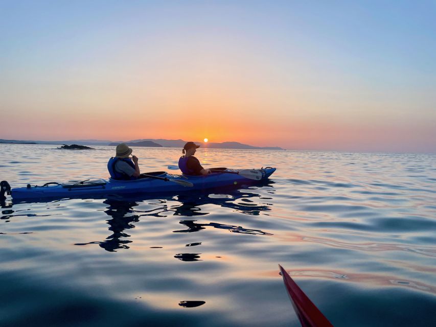 Chania: Morning Sea Kayak Tour Along the Coastline - Customer Review